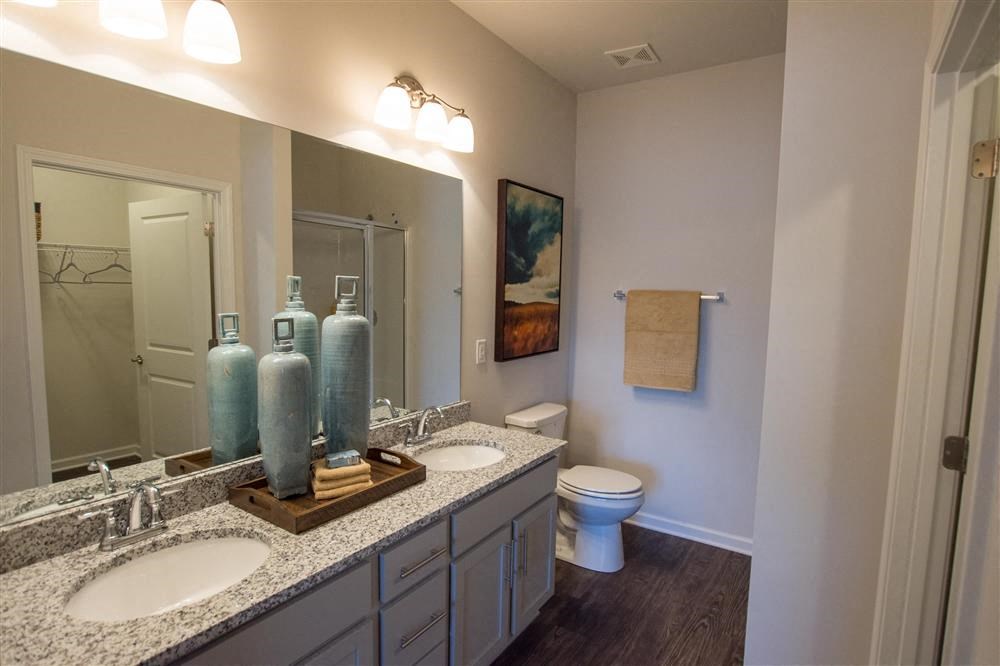 a bathroom with two sinks and a toilet