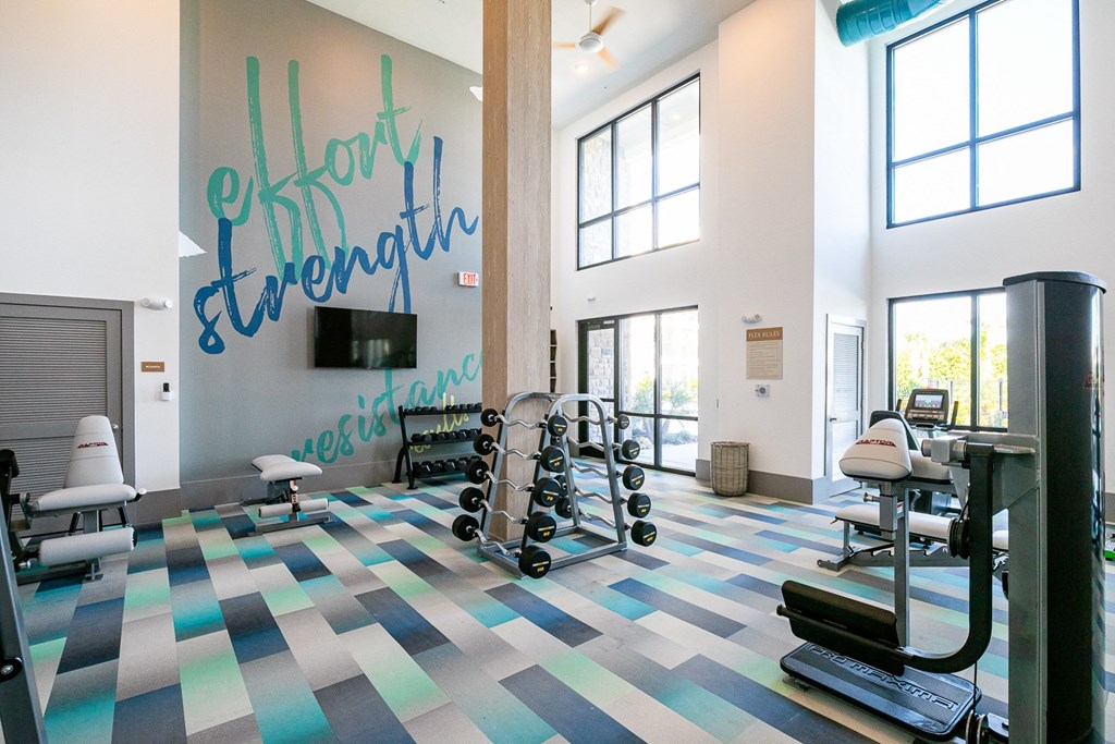 a workout room with weights and a wall with a graffiti wall