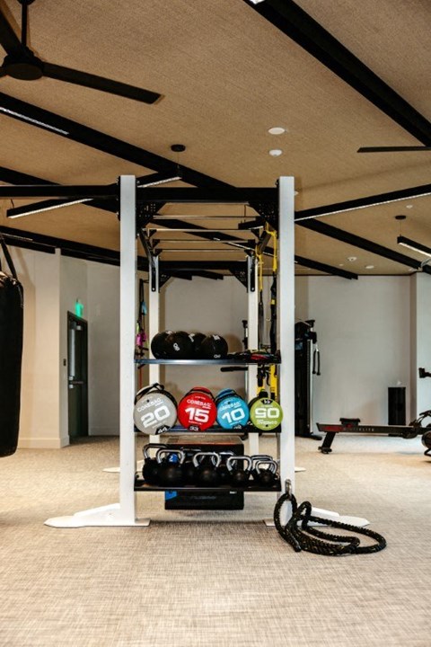 a home gym with weights on a rack