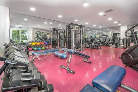 A well-equipped gym with a variety of exercise machines and weights.