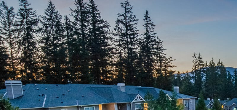 The Estates At Cougar Mountain Issaquah Wa Apartments