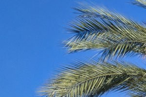 Studio City Apartments For Rent Los Angeles Ca Rentcafe