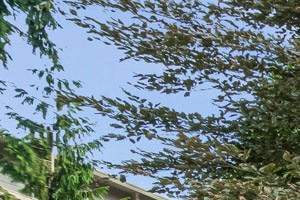 Centrally Located Community Centrally Located Community at Reflections by Windsor, Redmond, WA - Photo Gallery