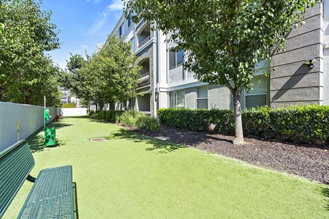 Dog Park at Windsor Main Place