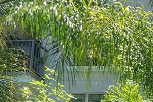 Amazing Outdoor Spaces at Windsor Lofts at Universal City, Studio City, California