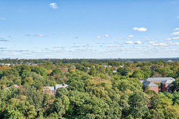 Panoramic View Of City Panoramic View Of City at Halstead Tower by Windsor, 4380 King Street, Alexandria - Photo Gallery 2