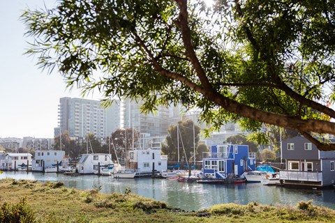 Mission Bay By Windsor