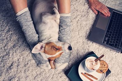 Happy Pet friendly Community at Twenty50 by Windsor, 07024, NJ`