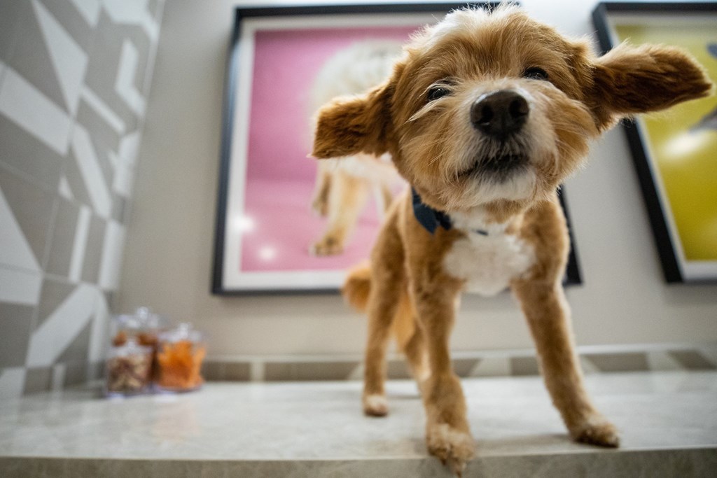 The Sterling At Regent Square