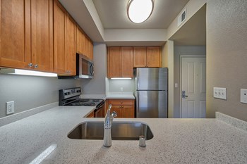 Gourmet Kitchens with Dishwasher and Disposal at Villa Montanaro, California