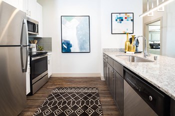 Modern kitchen fixtures at Metro West, Texas, 75024 - Photo Gallery 13