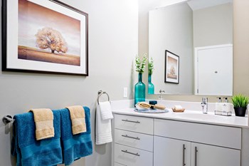 Storage Space in Bathrooms at Waterside Place by Windsor, Boston, Massachusetts - Photo Gallery 16