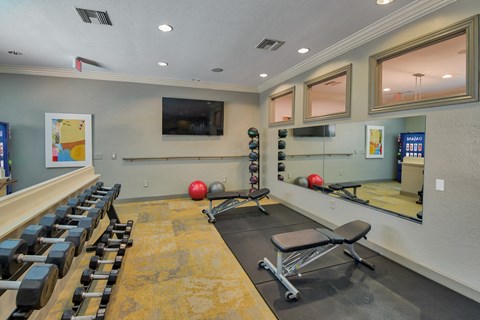 Free Weights, Medicine Balls and Stretching Space at Windsor Aviara, 92011, California