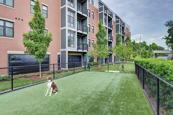 On-Site Dog Park at Windsor at Maxwells Green, 1 Maxwells Green, Somerville - Photo Gallery 35