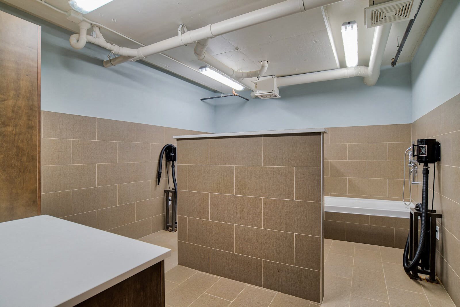 Windsor Old Fourth Ward Apartment Rentals in Atlanta