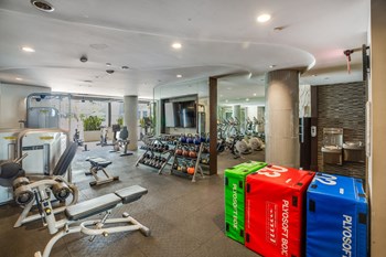 Spacious Fitness Center Filled with Natural Light at South Park by Windsor, 939 South Hill Street, CA - Photo Gallery 29
