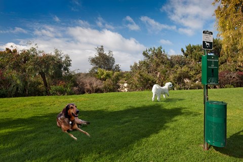 Green Spaces in Pet-Friendly Community at Windsor Aviara, Carlsbad, CA