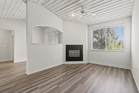 Fireplace at Windsor Main Place, Orange, California