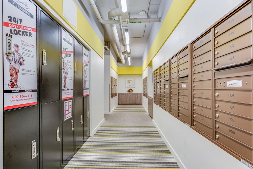 Dry Cleaning Pick-Up at The Marston by Windsor, 825 Marshall Street, Redwood City