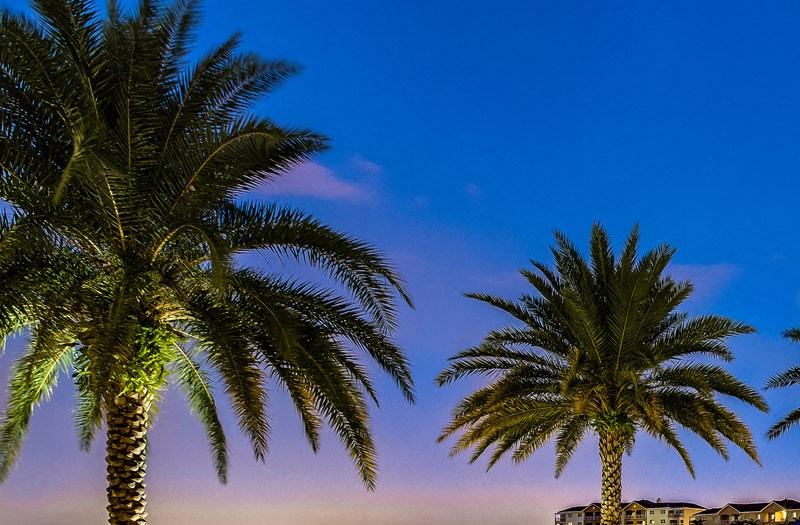 Windsor At Doral Doral Apartments For Rent Home
