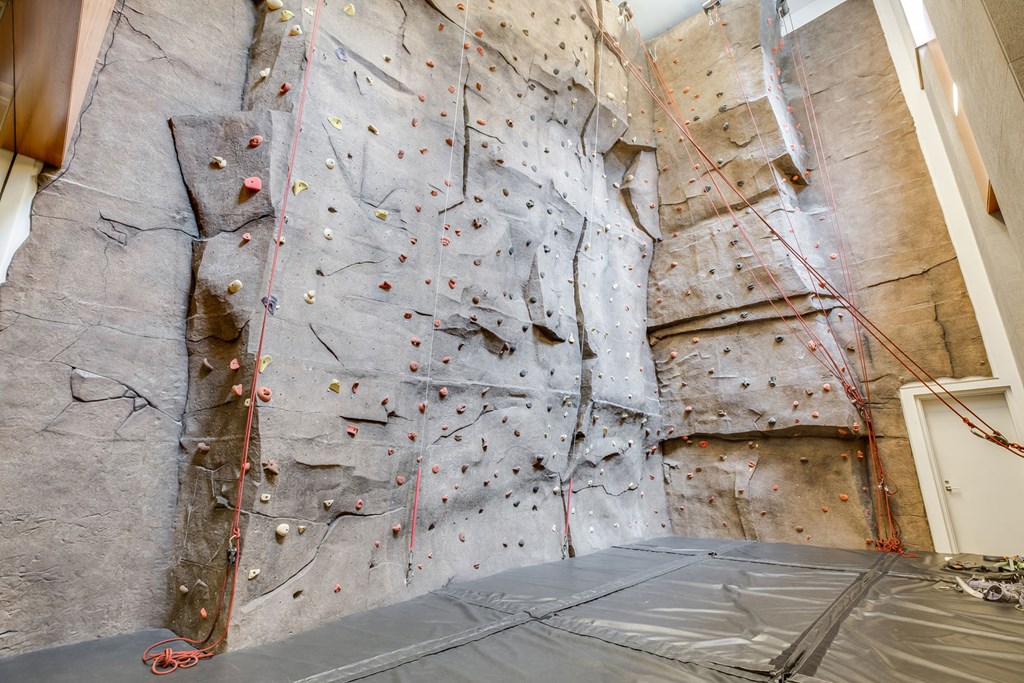 Indoor Rock Climbing Wall at The Aldyn, New York, New York
