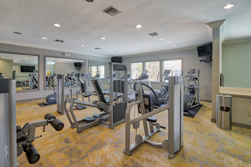 Cardio Equipment at Windsor Aviara, California, 92011