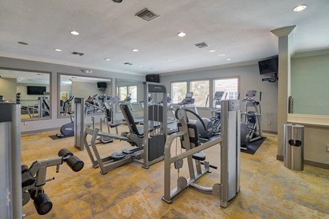 Cardio Equipment at Windsor Aviara, California, 92011