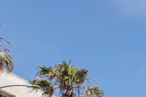 Ideal Place to Call Home Ideal Place to Call Home at Boardwalk by Windsor, Huntington Beach, 92647