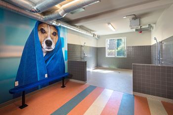 Pet Wash And Blow Dry Bar at Blu Harbor by Windsor, 1 Blu Harbor Blvd, CA