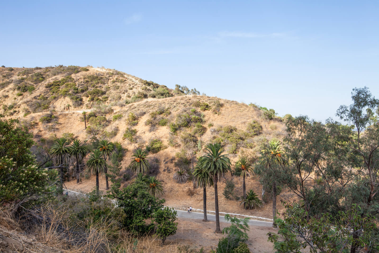 Easy Access to Runyon Canyon from Windsor at Hancock Park, Los Angeles, 90004