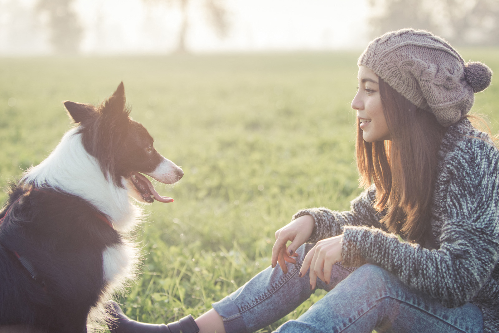 Pet-Friendly Community and Neighborhood at Platform 14, Hillsboro, 97124