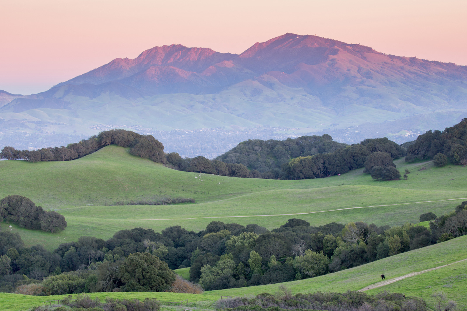 views of Mount Diablo. From Villa Montanaro, California