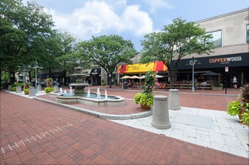 Nearby dining and entertainment at at IO Piazza by Windsor, 2727 South Quincy Street, VA