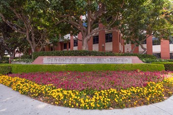 Apartments Near University of Southern California at South Park by Windsor, 90015, CA - Photo Gallery 43