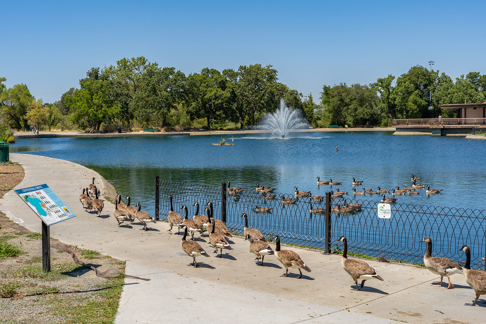 Close To Everything at Villa Montanaro, CA 94523