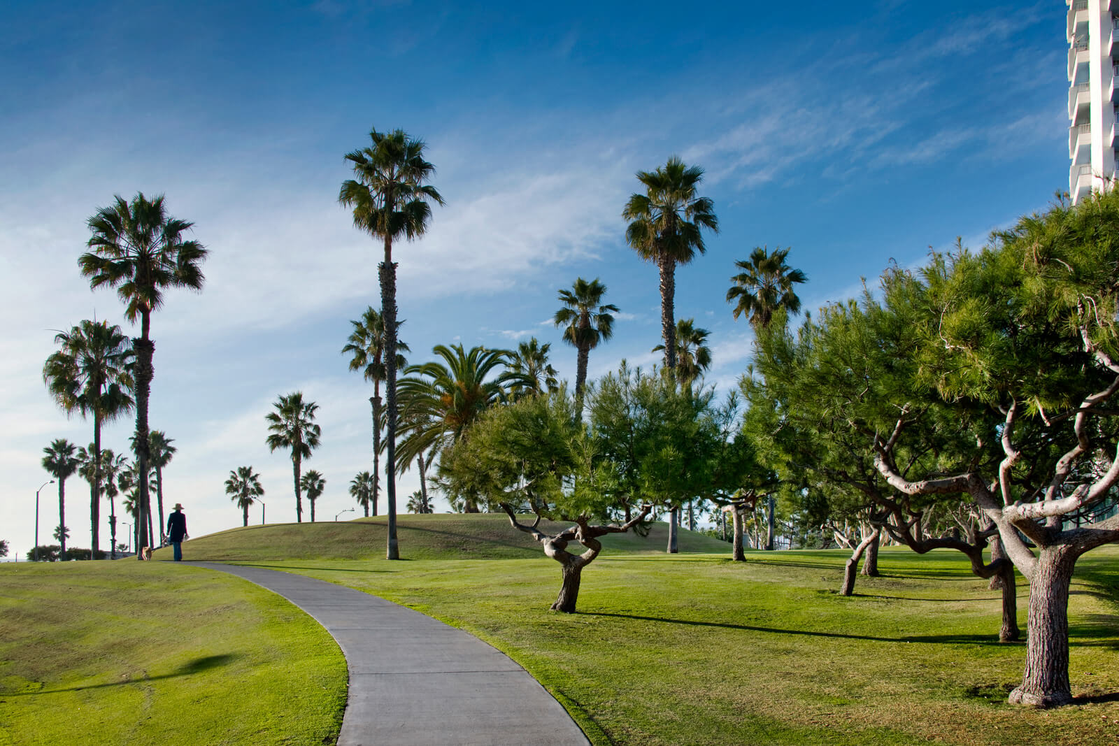 Local Beach Park near Sea Castle, 1725 Ocean Front Walk, CA