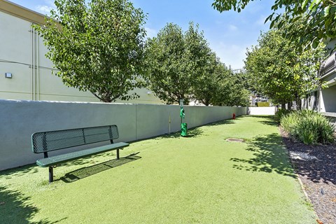 Dog Park at Windsor Main Place