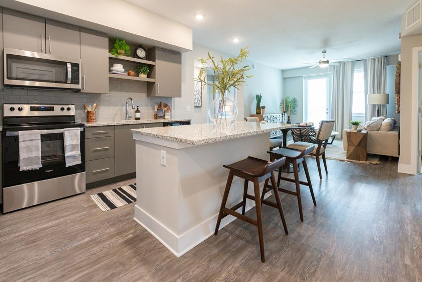 Modern kitchen Modern kitchen at Windsor 335, Plantation, FL
