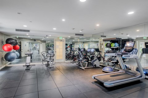 Fitness Center at Windsor Hancock Park