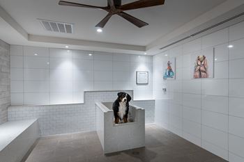 Pet Spa at Windsor Mystic River, Massachusetts, 02155