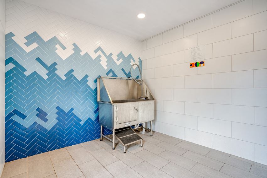 Yaupon By Windsor Apartments, 7870 W US Highway 290, Austin, TX RentCafe