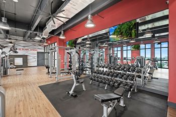 Fitness Center with equipment at Windsor Ludlam Trail, an apartment complex in Miami, FL.