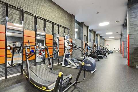 A gym with treadmills and exercise bikes.