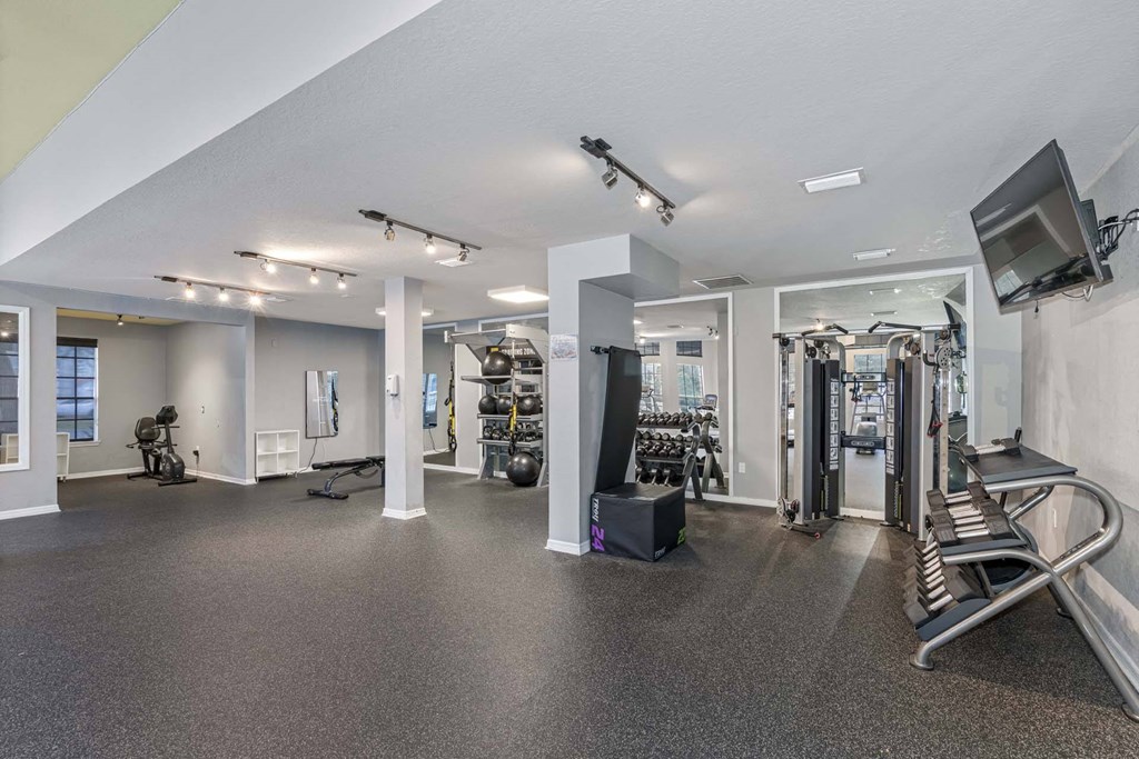 Fitness Center with weights at Windsor Highwoods Preserve, Tampa, FL
