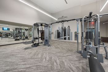 a gym with weights and cardio equipment on the floor and a wall with a mural at The Sterling at Regent Square, Houston, TX, 77019