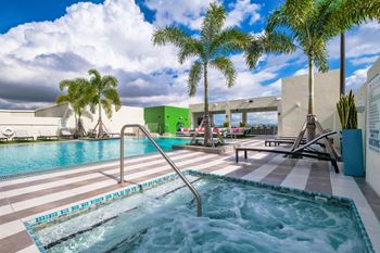 Swimming pool with palm trees at Windsor Ludlam Trail, an apartment complex in Miami, FL