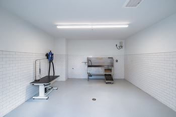 Pet Spa at Windsor Ludlam Trail, an apartment complex in Miami, FL.