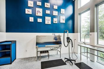 Pet wash station at Windsor Shepherd, TX, 77007