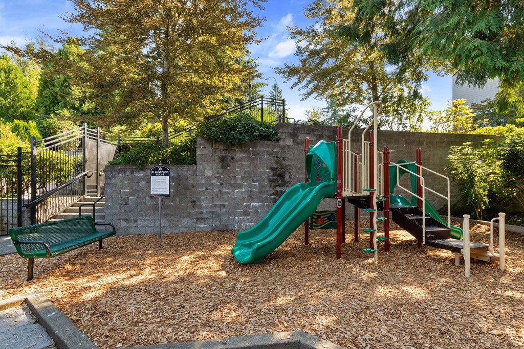 Reflections By Windsor