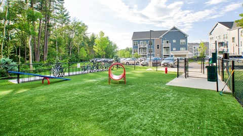 Open area for your dogs to be off leash -  Windsor at Hopkinton